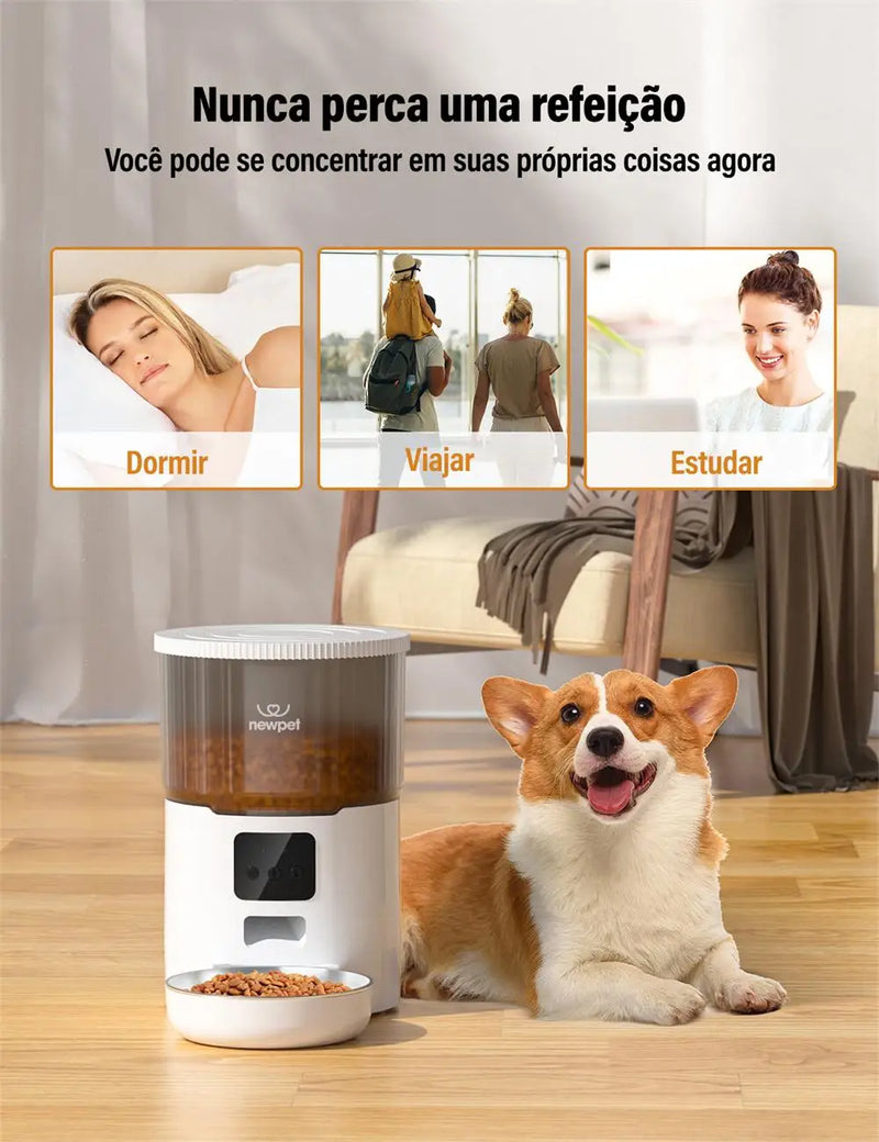 Alimentador temporizado para cães e gatos com APP inteligente em aço inoxidável